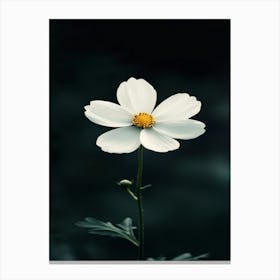 White Flower 8 Canvas Print