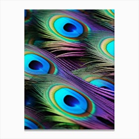 Peacock Feathers 5 Canvas Print