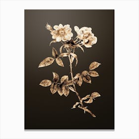 Gold Botanical Lady Monson Rose Bloom on Chocolate Brown n.0096 Canvas Print