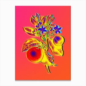 Neon Bitter Orange Botanical in Hot Pink and Electric Blue n.0581 Canvas Print