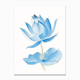 Blue Lotus Pencil Illustration 1 Canvas Print