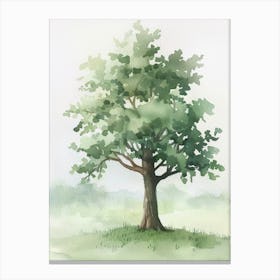 Walnut Tree Atmospheric Watercolour Painting 3 Canvas Print