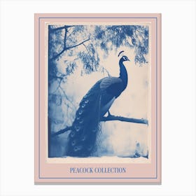 Peacock In The Tree Cyanotype Inspired 6 Poster Canvas Print