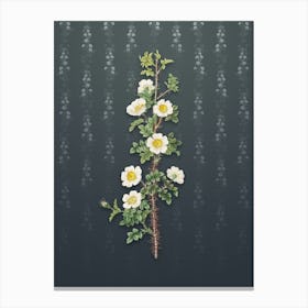 Vintage Scotch Rose Bloom Botanical on Slate Gray Pattern n.1246 Canvas Print