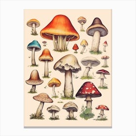 Vintage Mushrooms 4 Canvas Print