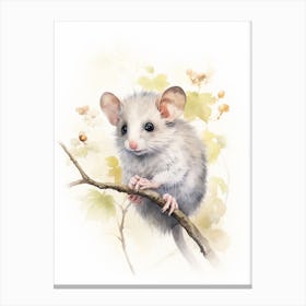 Light Watercolor Painting Of A Western Pygmy Possum 2 Canvas Print