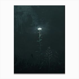 Dark Flower 14 Canvas Print