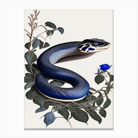 Texas Indigo Snake Vintage Canvas Print