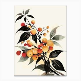 Chinese Pears Canvas Print