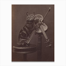 Vintage Cat On A Stool Playing Violin Canvas Print