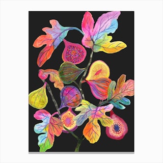 Colorful Figs Black Canvas Print