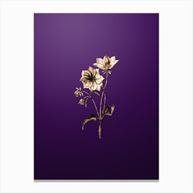 Gold Botanical Dwarf Dahlia on Royal Purple Canvas Print