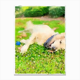 Dog Laying In The Grass Canvas Print