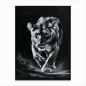 African Lion Charcoal Drawing Lioness On The Prowl 3 Canvas Print