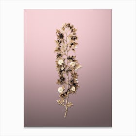 Gold Botanical Cuspidate Rose on Rose Quartz n.4559 Canvas Print