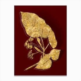Vintage Linden Tree Branch Botanical in Gold on Red n.0520 Canvas Print