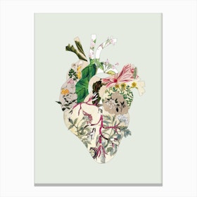 Vintage Botanical Heart Canvas Print