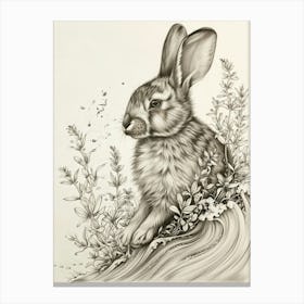 Himalayan Rabbit Drawing 2 Canvas Print