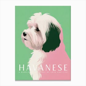 Artful Havanese Dog Retro Poster Turquoise Canvas Print
