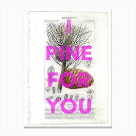 I Pine For You Vintage Pine Cone Canvas Print