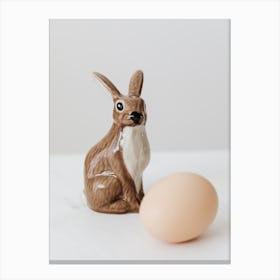 Rabbit And Egg Canvas Print