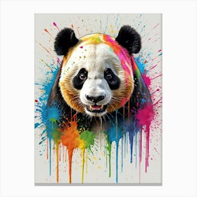 Panda Bear Canvas Print