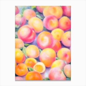 Apricot Painting Fruit Canvas Print