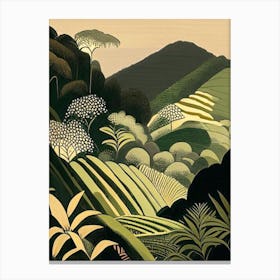 Banaue Rice Terraces Philippines Rousseau Inspired Tropical Destination Canvas Print
