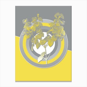 Vintage Platilobium Botanical Geometric Art in Yellow and Gray n.139 Canvas Print