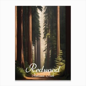 Redwood National Park Canvas Print