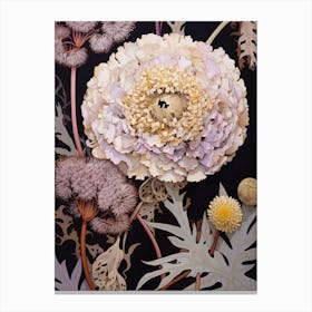 Flower Illustration Scabiosa 3 Canvas Print