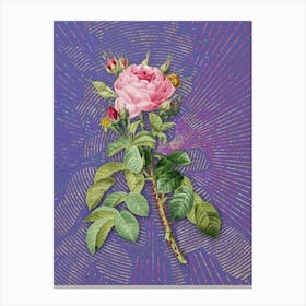 Vintage Lelieur's Four Seasons Rose Botanical Illustration on Veri Peri Canvas Print