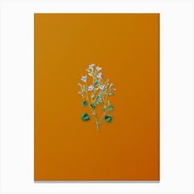 Vintage Dalmatian Wall Campanula Botanical on Sunset Orange n.0559 Canvas Print