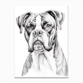 Boxer Dog, Line Drawing 3 Canvas Print