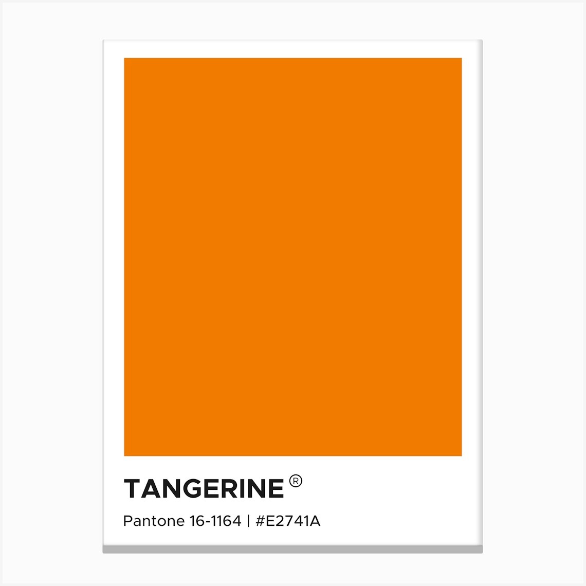 Tangerine Pantone, bold, orange, summers, cool, calm, bright, pantone, swatches, colors, aesthetic, colorful, cute, autumn, nature, cozy Canvas Print