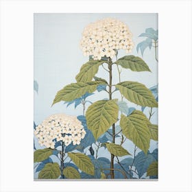 Ajisai Hydrangea 2 Vintage Botanical Woodblock Canvas Print