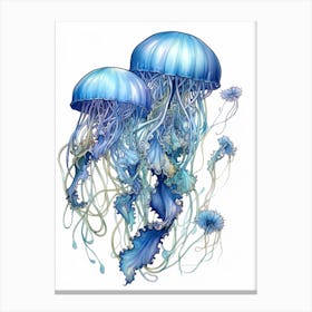Portuguese Man Of War Jellyfish 11 Canvas Print