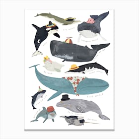 Whales In Hats Canvas Print