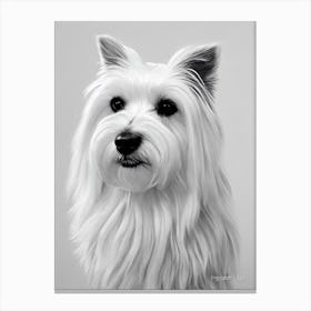 Maltese B&W Pencil dog Canvas Print