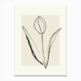 Tulip 4 Canvas Print