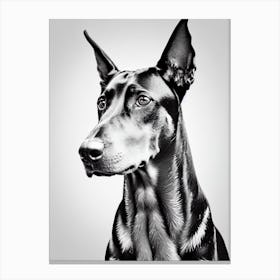 Doberman Pinscher B&W Pencil dog Canvas Print
