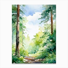 Watercolor Of A Forest Path Canvas Print