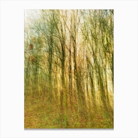 Autumnal Impression Canvas Print