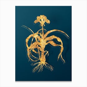 Vintage Iris Scorpiodes Botanical in Gold on Teal Blue n.0034 Canvas Print