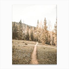 Forest Hiking Trail Canvas Print