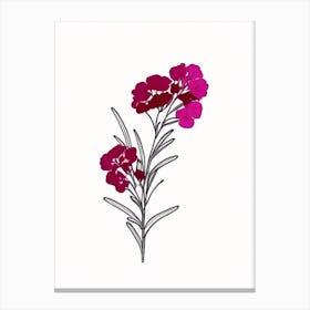 Sweet William Floral Minimal Line Drawing 1 Flower Canvas Print