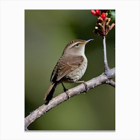 House Wren -Reimagined 18 Canvas Print