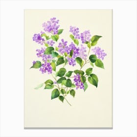 Lilac 2 Vintage Flowers Flower Canvas Print