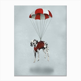 Dalmatian With Parachute Canvas Print