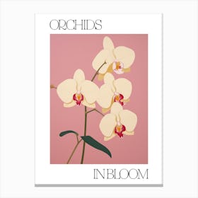 Orchids In Bloom Flowers Bold Illustration 3 Canvas Print